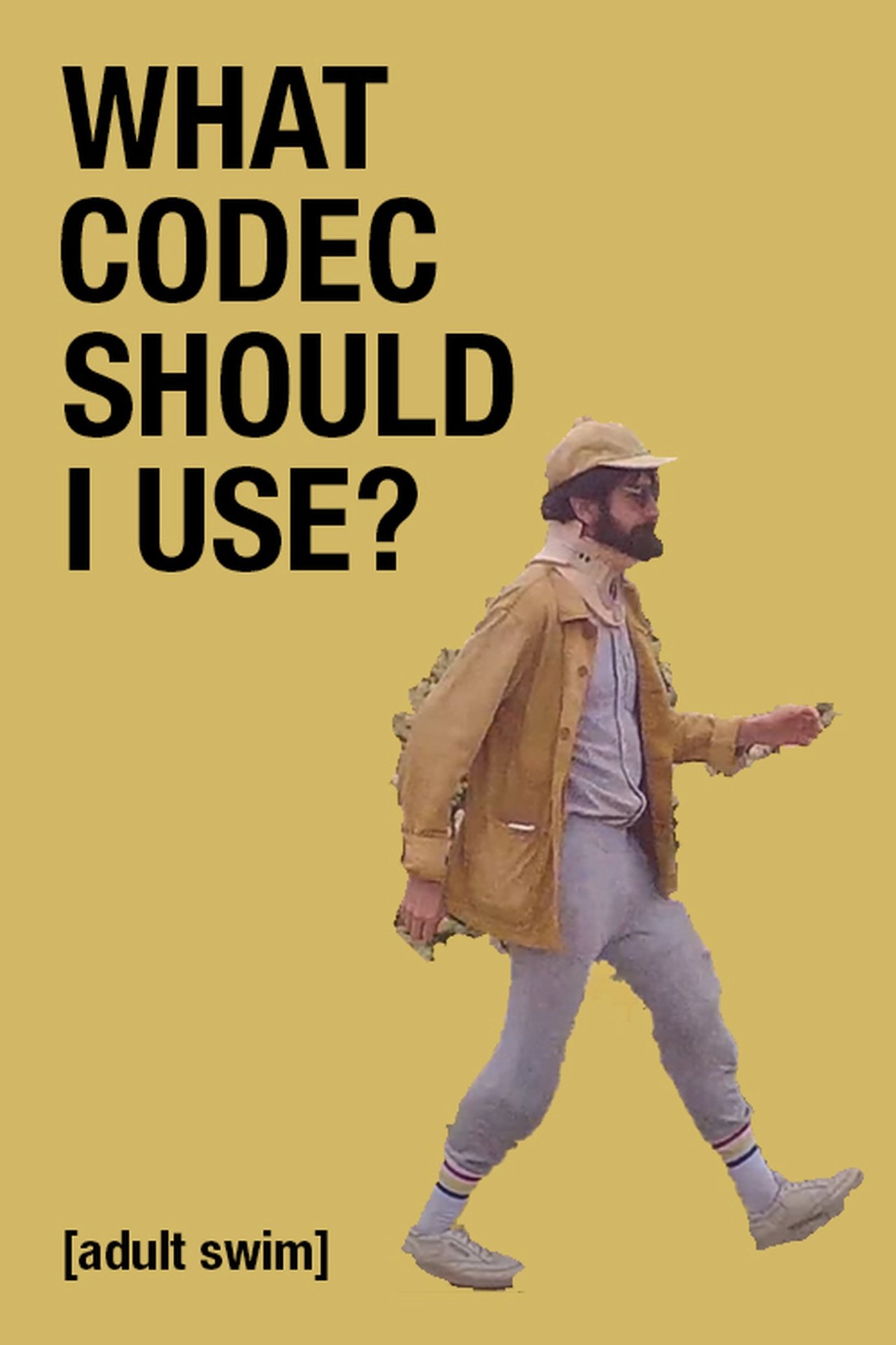 مشاهدة فيلم What Codec Should I Use? مترجم بدون اعلانات - بوستر
