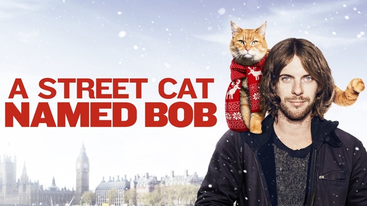 A Street Cat Named Bob background