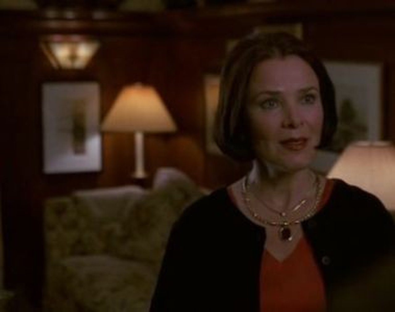 Law & Order - Season 10 Episode 9 : Sundown