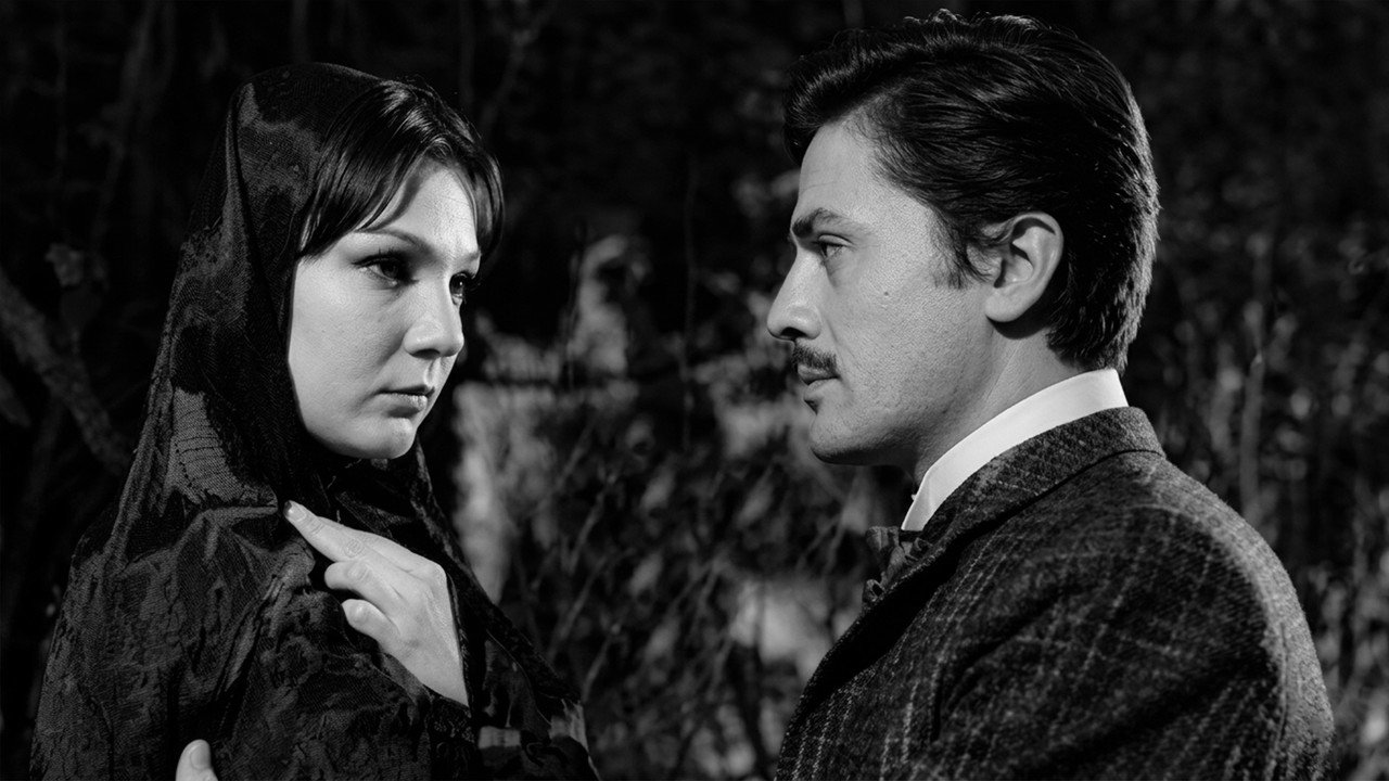 Four Women in the Harem