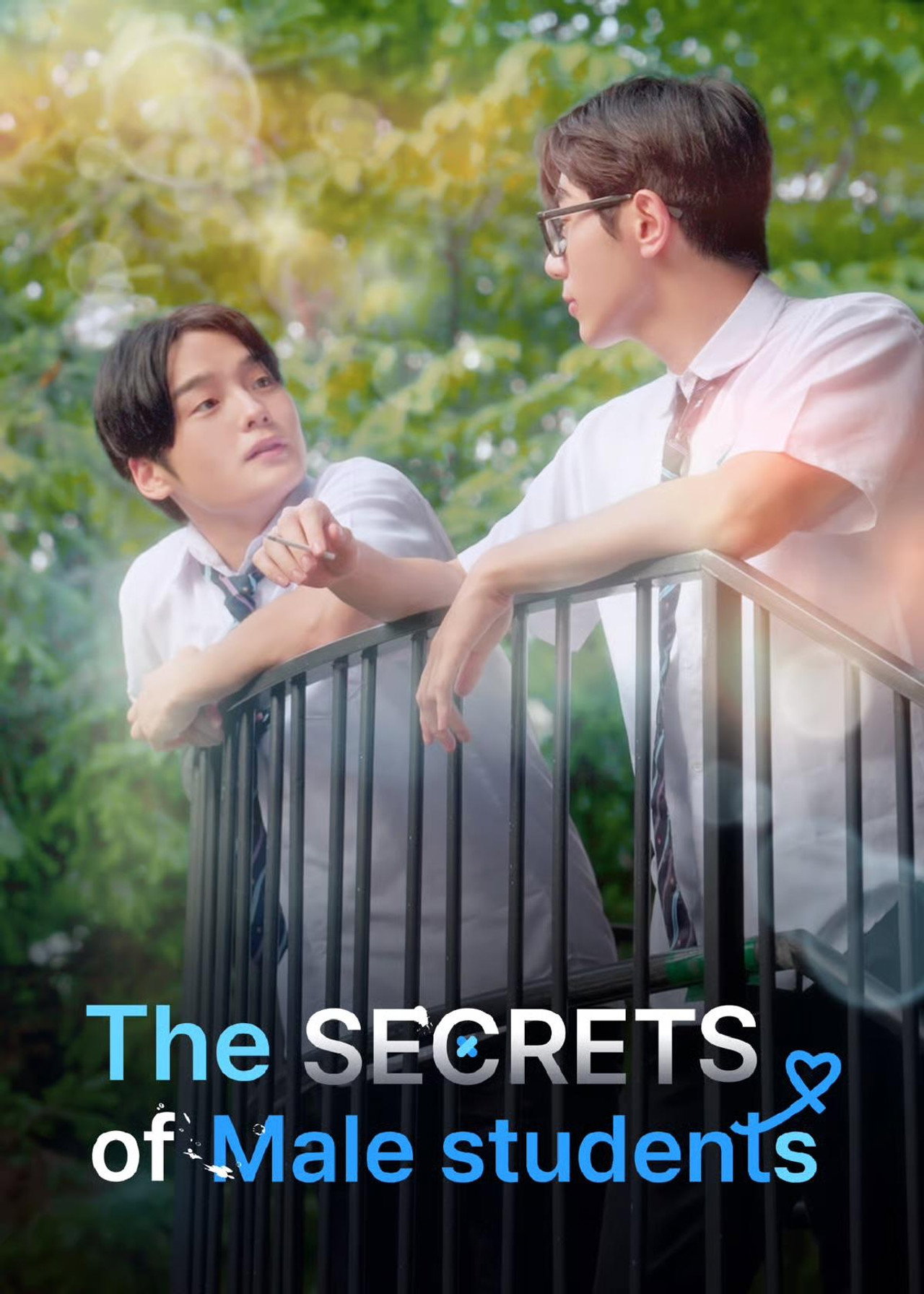The Secret Of Male Students poster