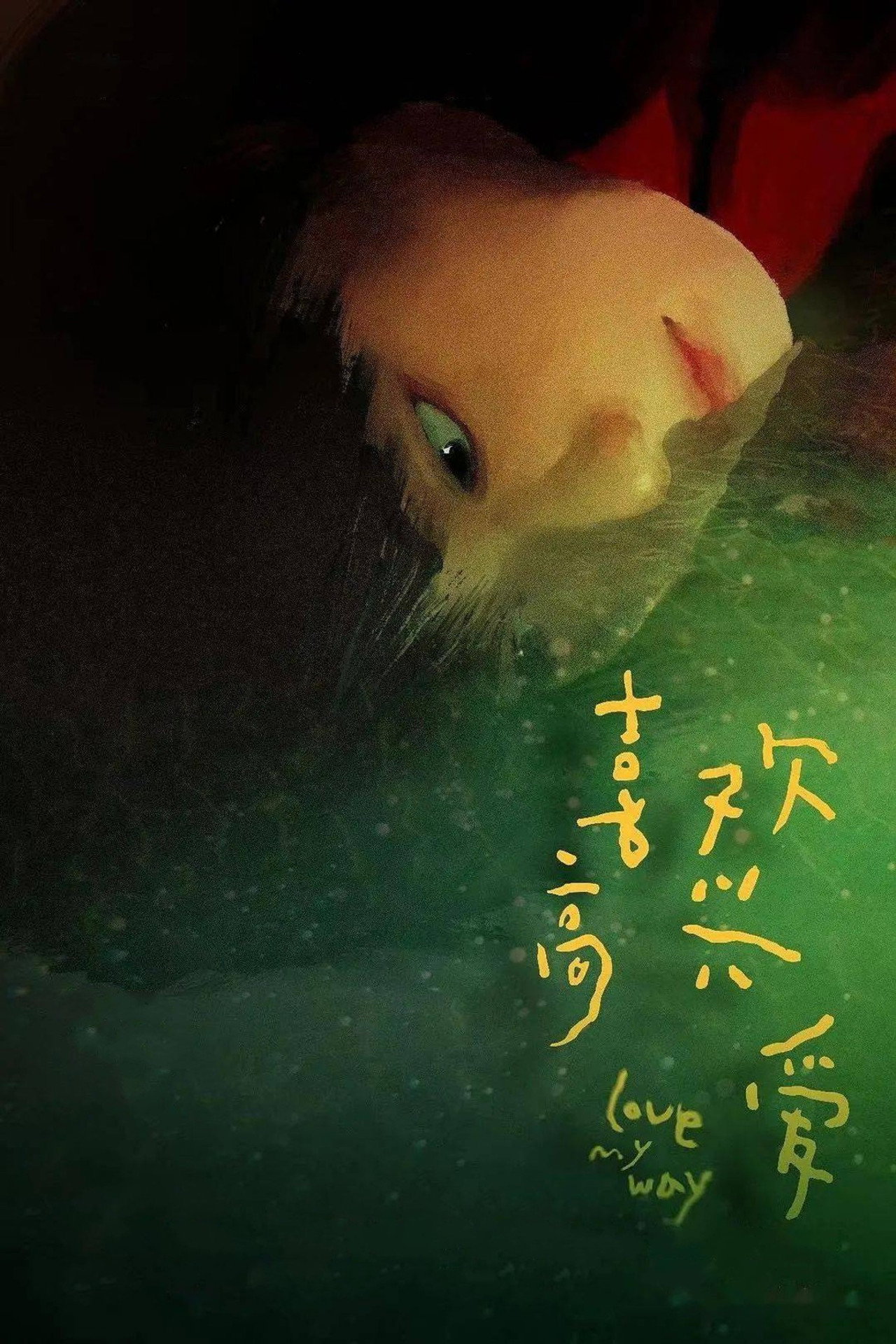 喜欢高兴爱 filmaffisch
