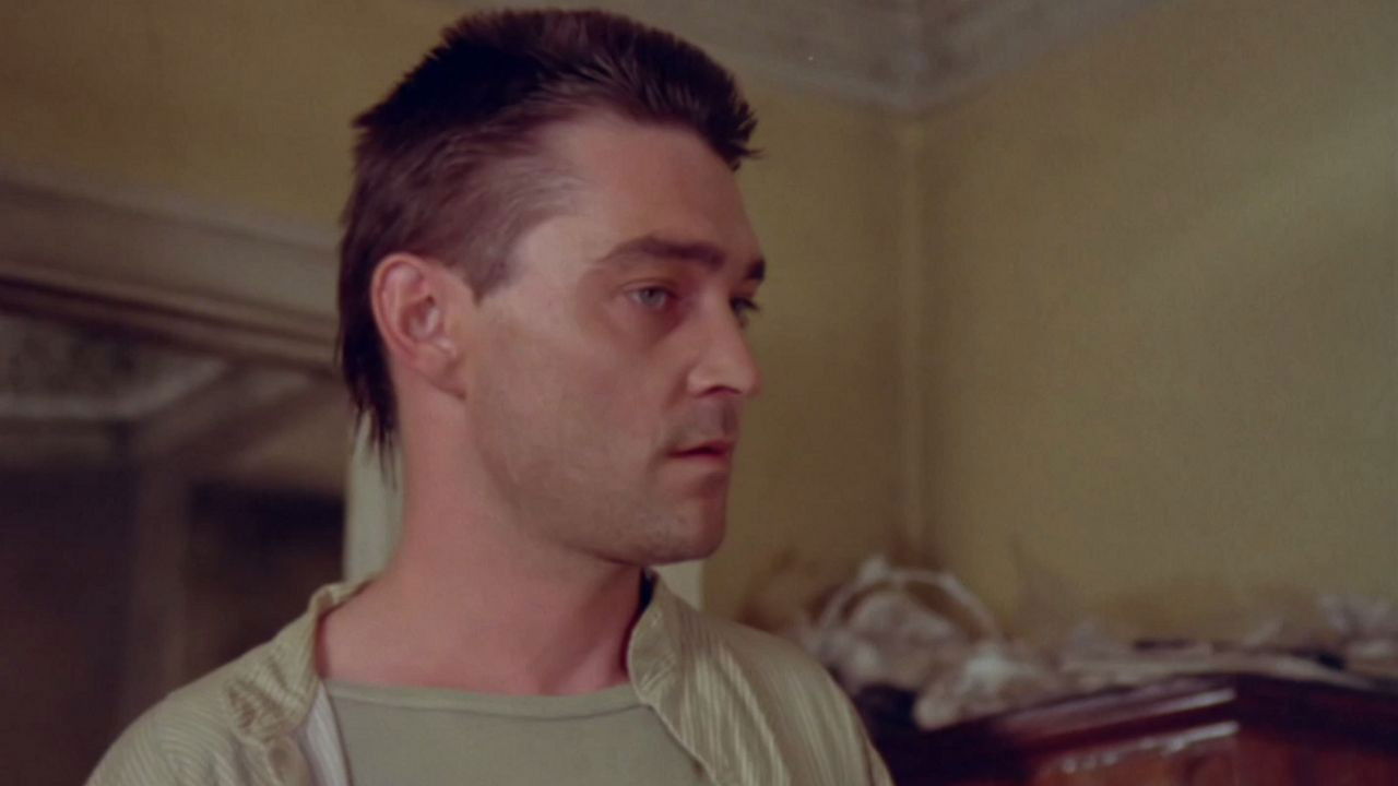 Butterflies backdrop