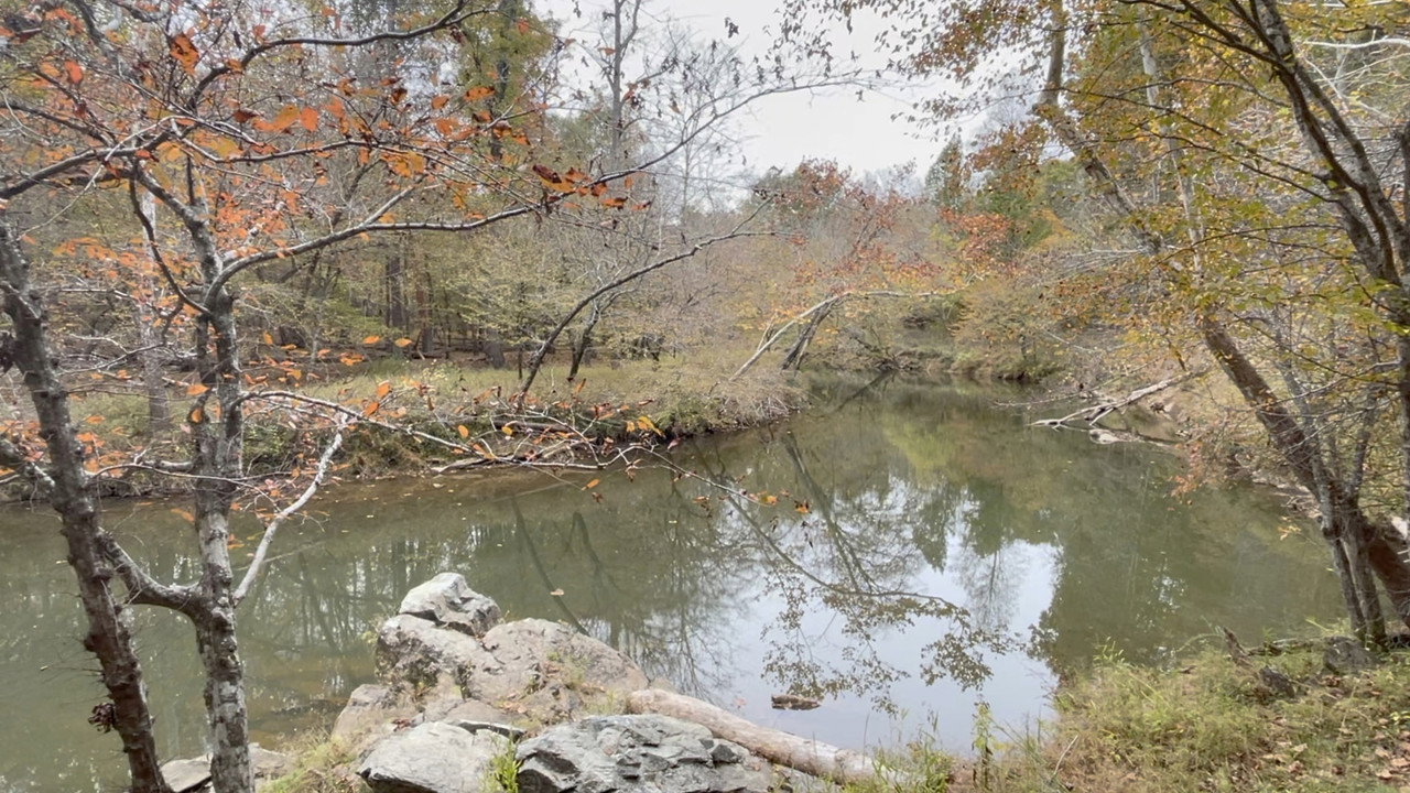 Davy Wallace — still 10