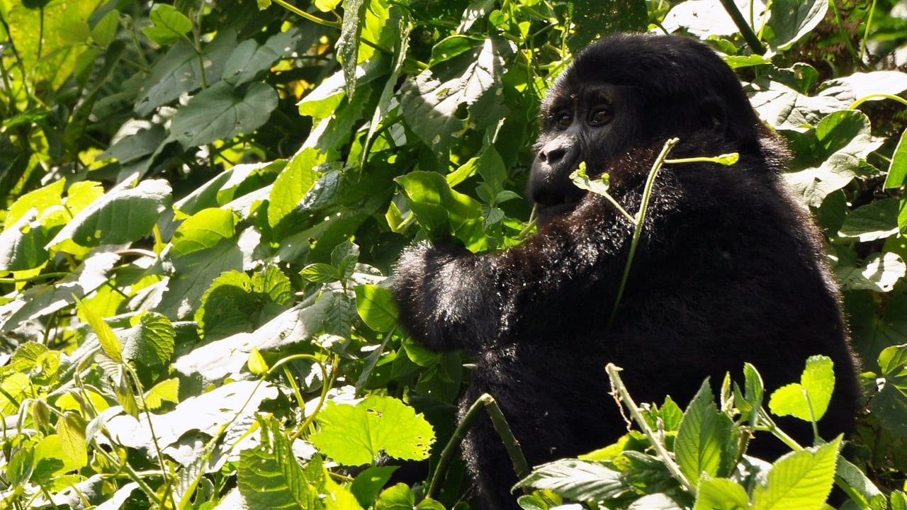 Deadly 60 — Épisode 26