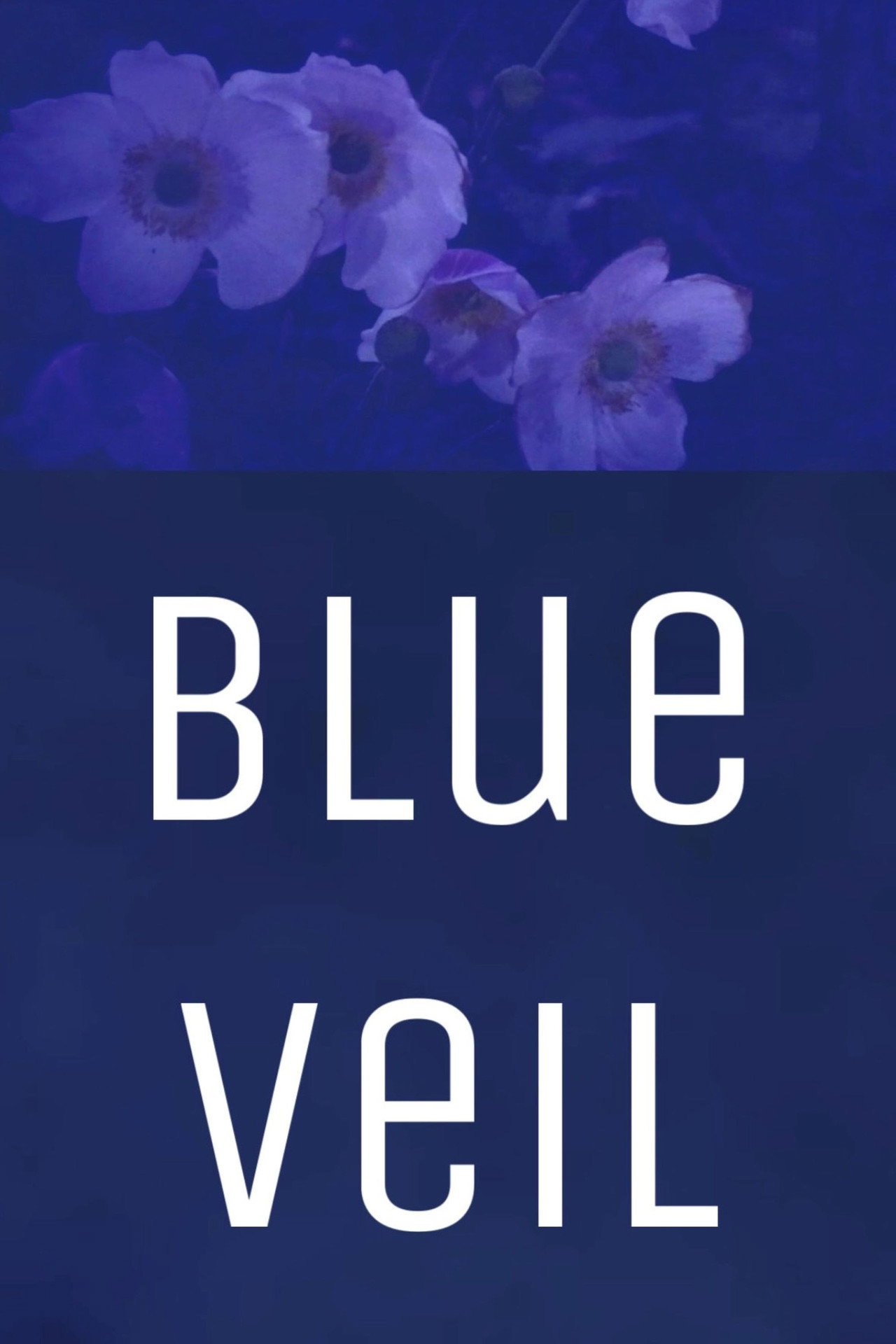 Blue Veil poster