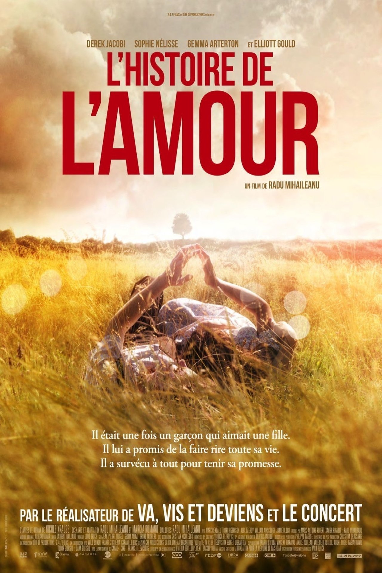 L'Histoire de l'amour poster