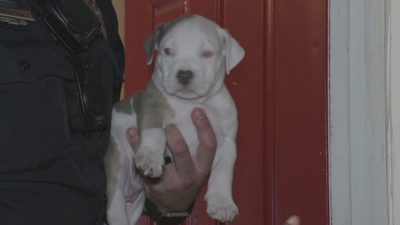 Live PD: Greatest Shifts — Épisode 10