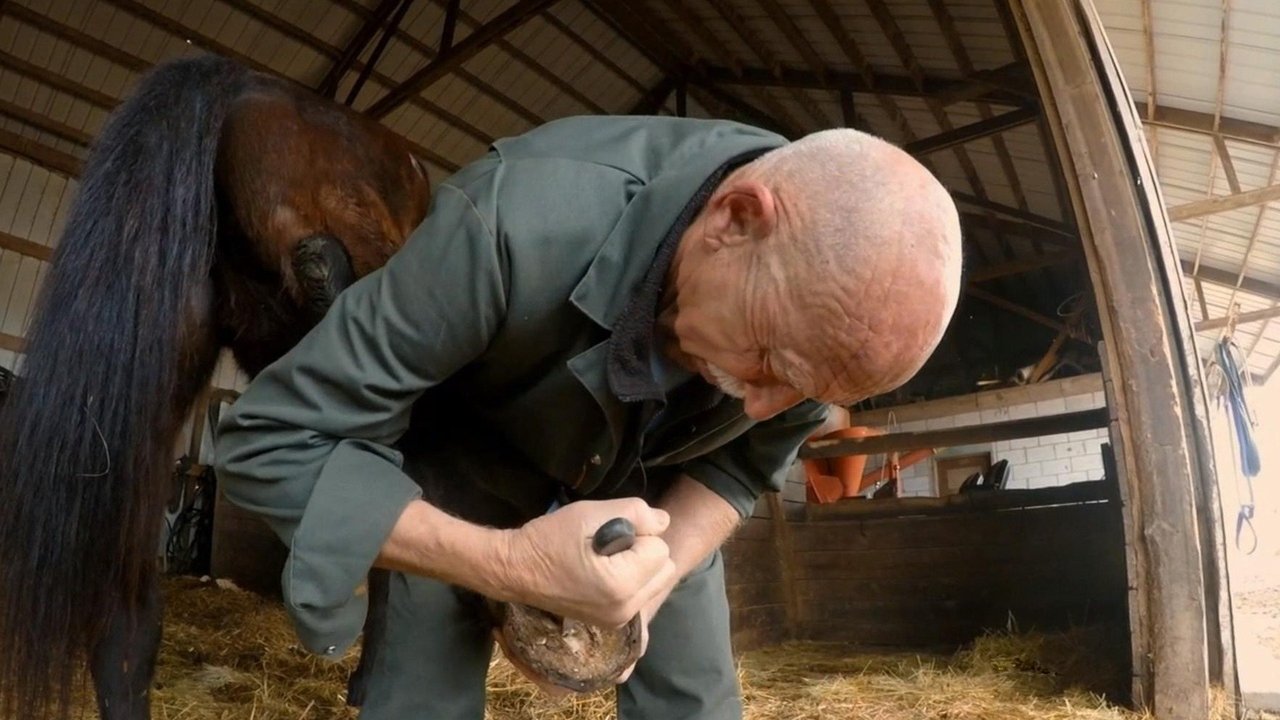 The Incredible Dr. Pol - Season 13 Episode 10 : Kung Fu Biting