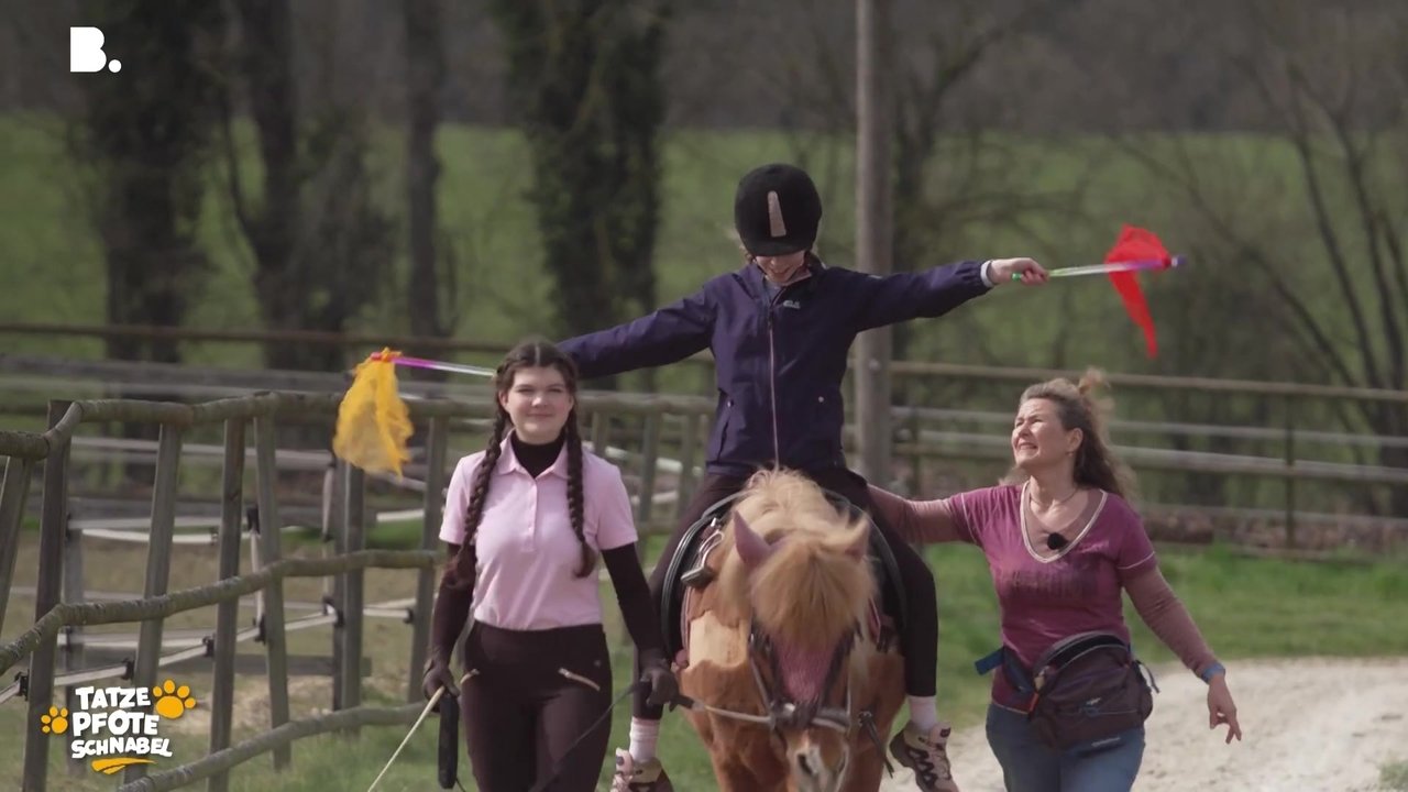 Tatze, Pfote, Schnabel - Season 3 Episode 12 : Episode 12