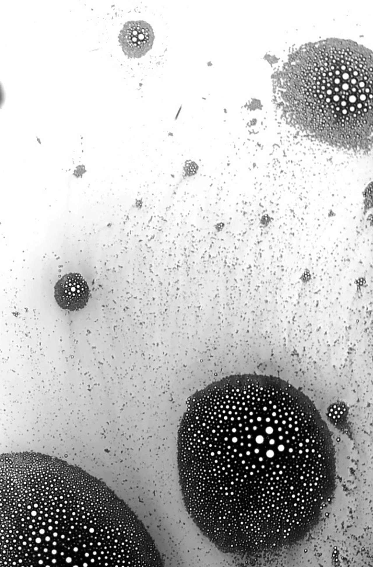 Substance filmaffisch