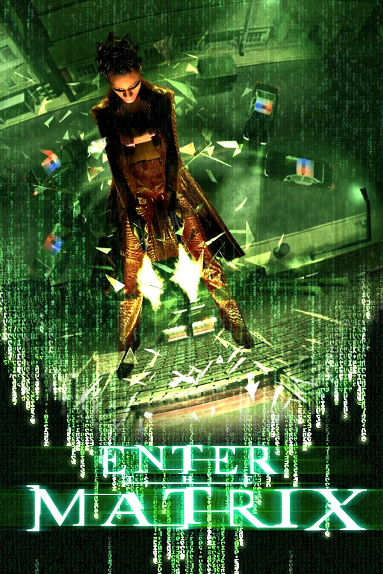 Making 'Enter the Matrix'
