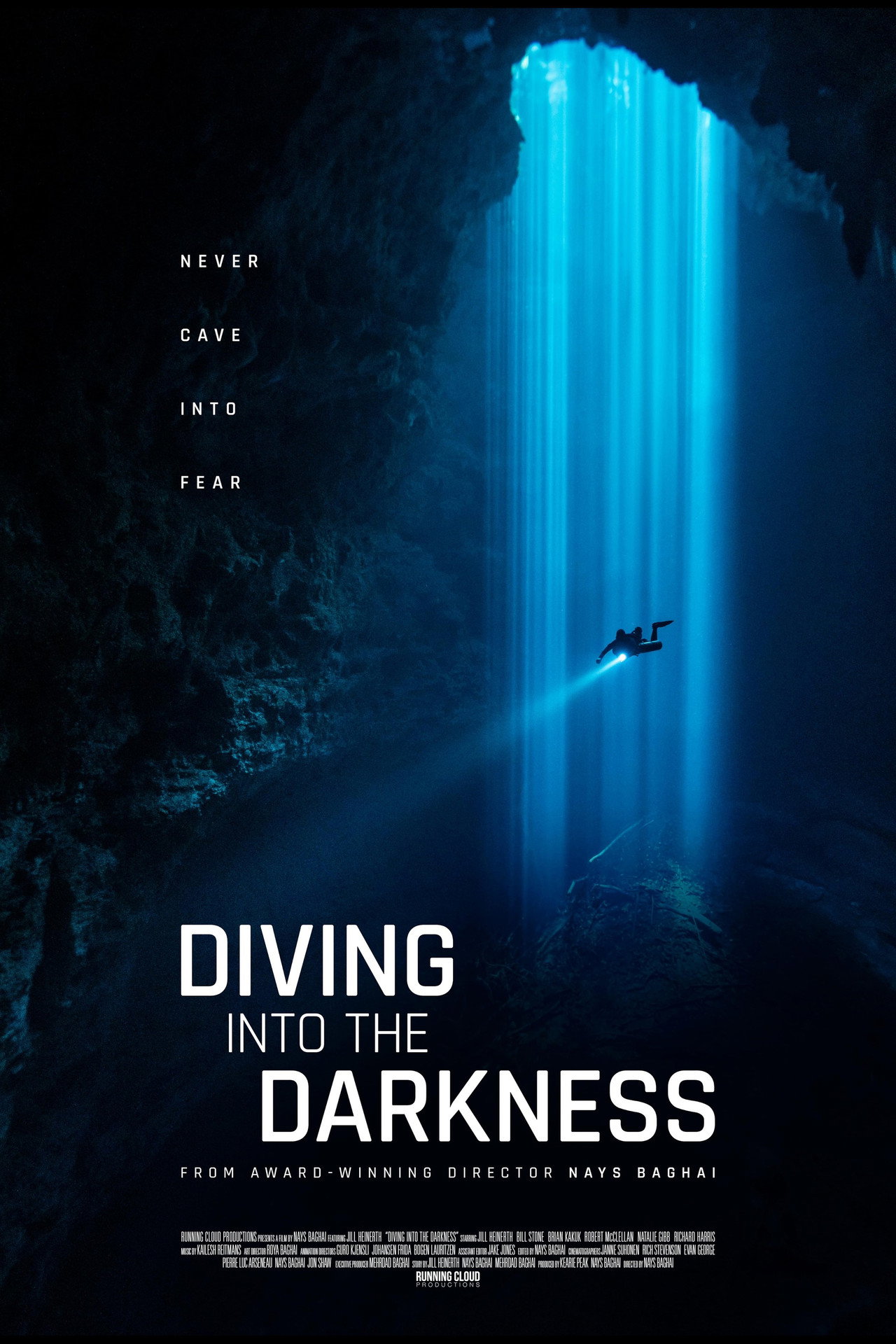 Diving Into the Darkness filmaffisch