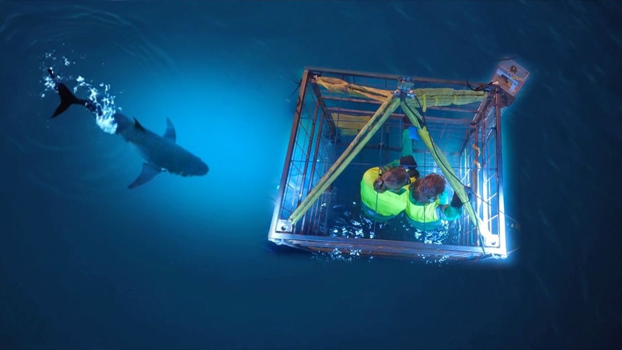 Code van Coppens - Season 6 Episode 3 : Episode 3