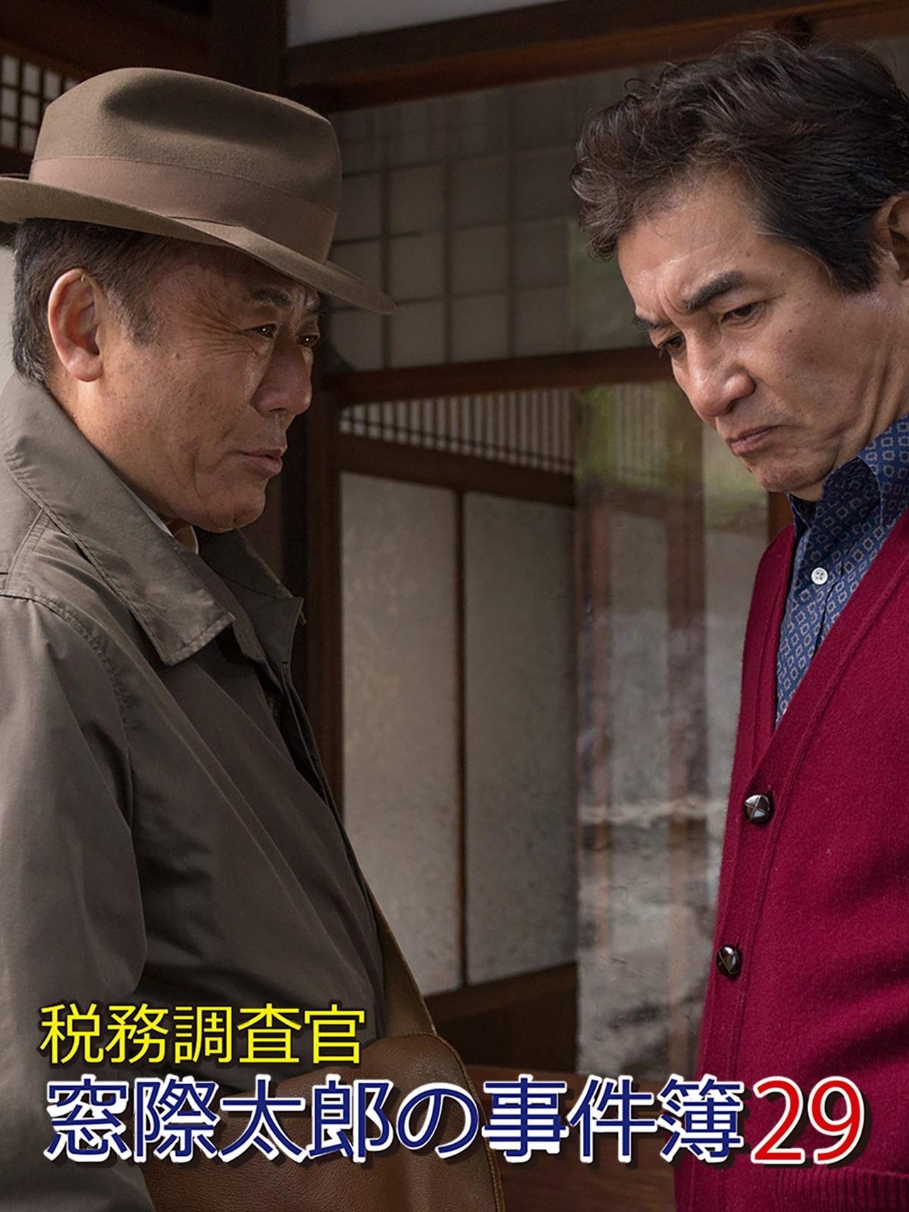 税務調査官・窓際太郎の事件簿29 税務調査官・窓際太郎の事件簿29