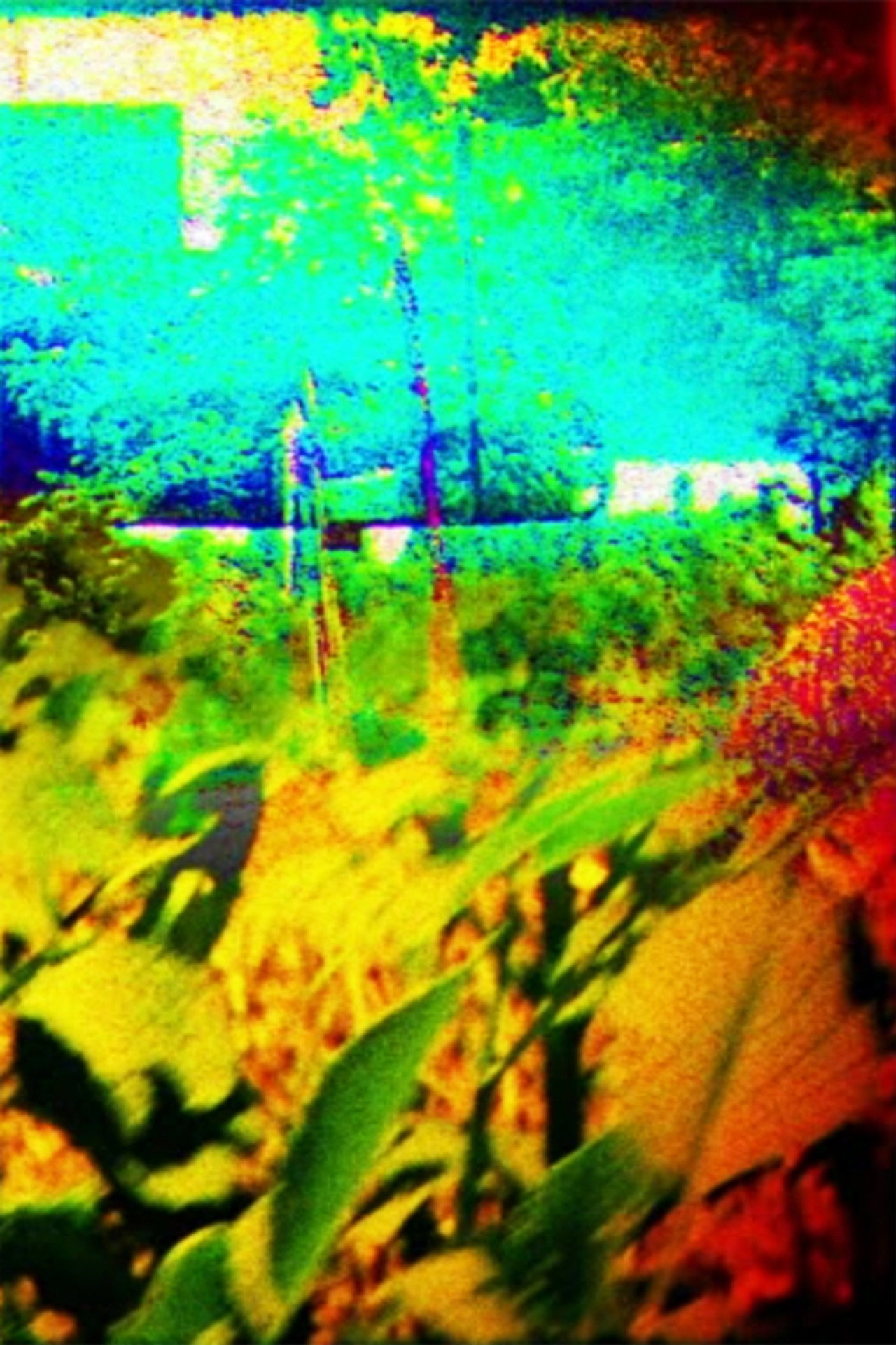The Colors of Boulder in the Summer filmaffisch