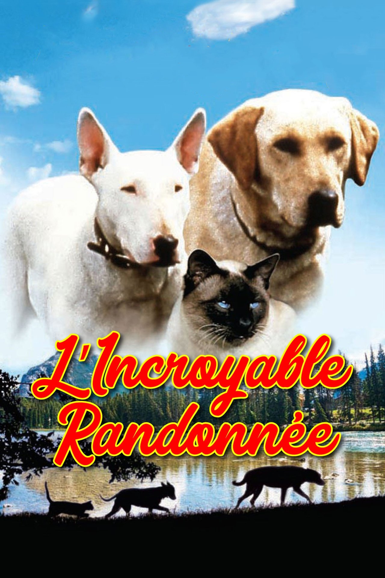 L'incroyable randonnée poster