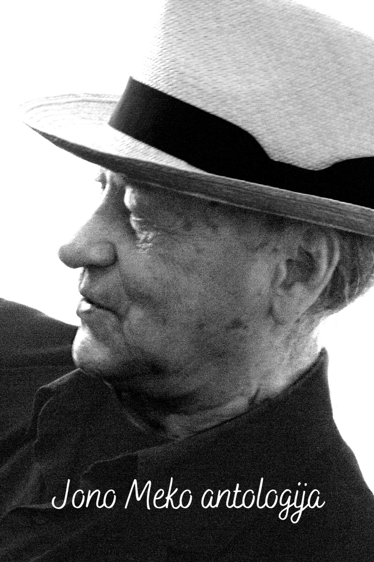 Jonas Mekas Anthology Backdrop