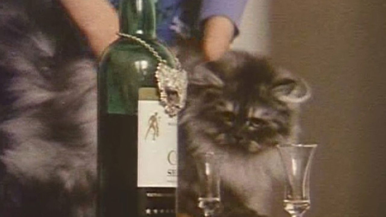 Cast and Crew of Who's Who