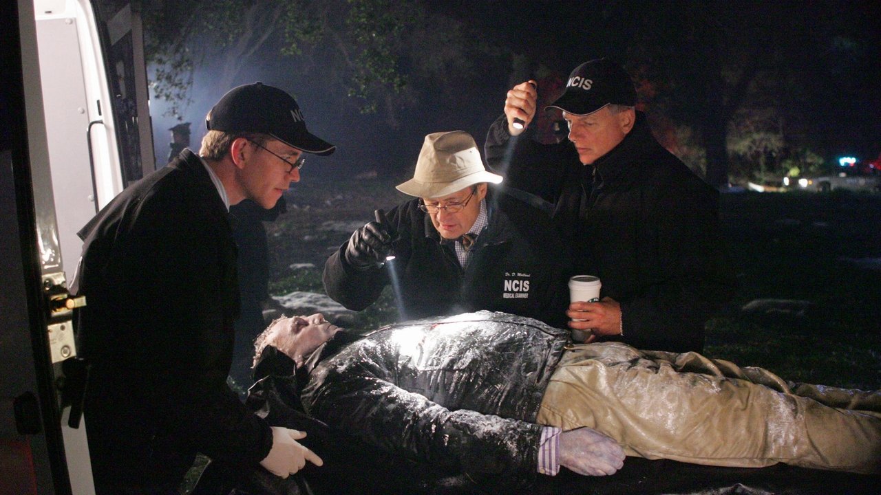 NCIS - Season 3 Episode 19 : Iced