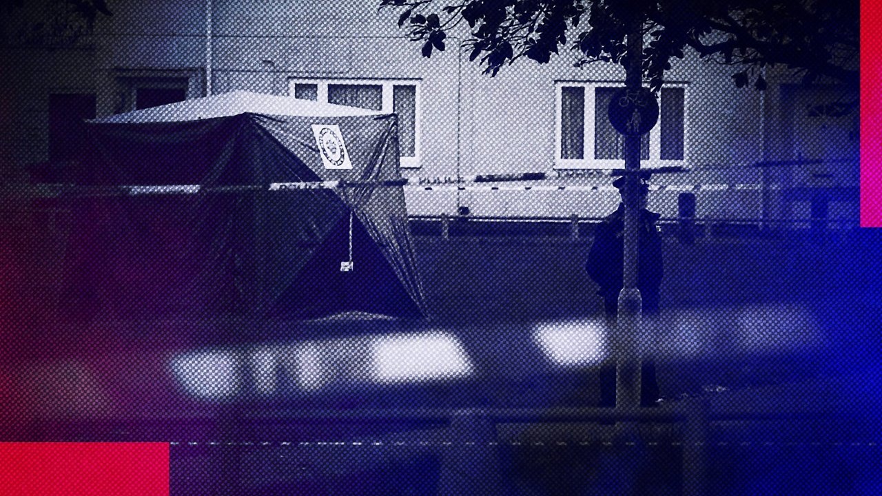 The Big Cases - Season 1 Episode 45 : Killed By Kids: The Machete Murder