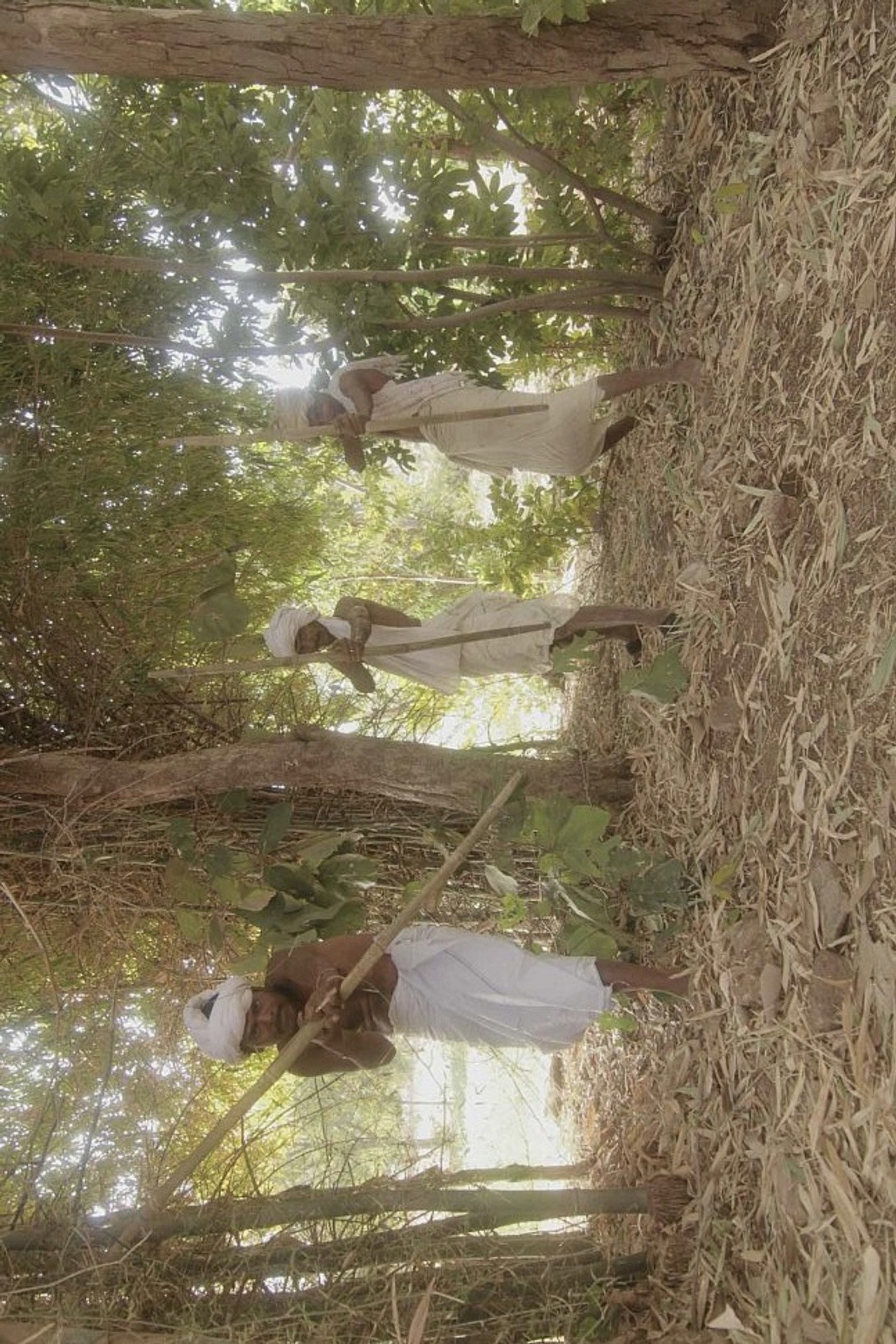 Kalyug (2013)