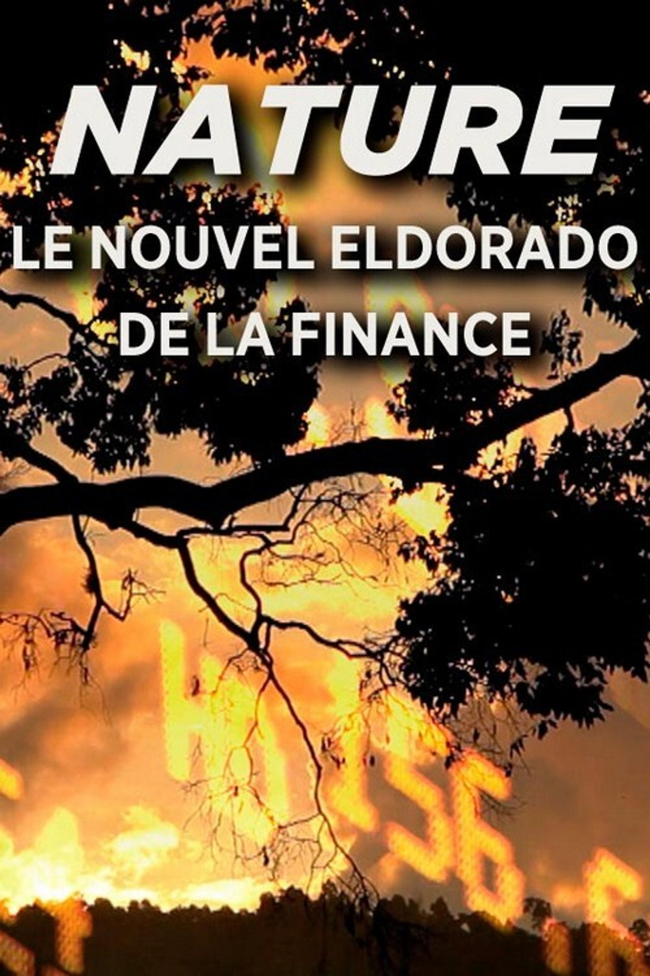 Nature, Le Nouvel Eldorado de la Finance filmaffisch