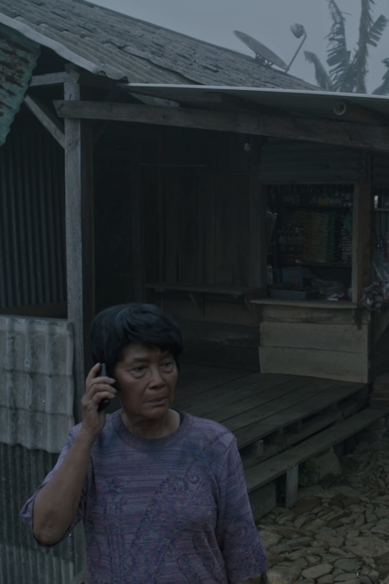 Caput Mortuum Backdrop