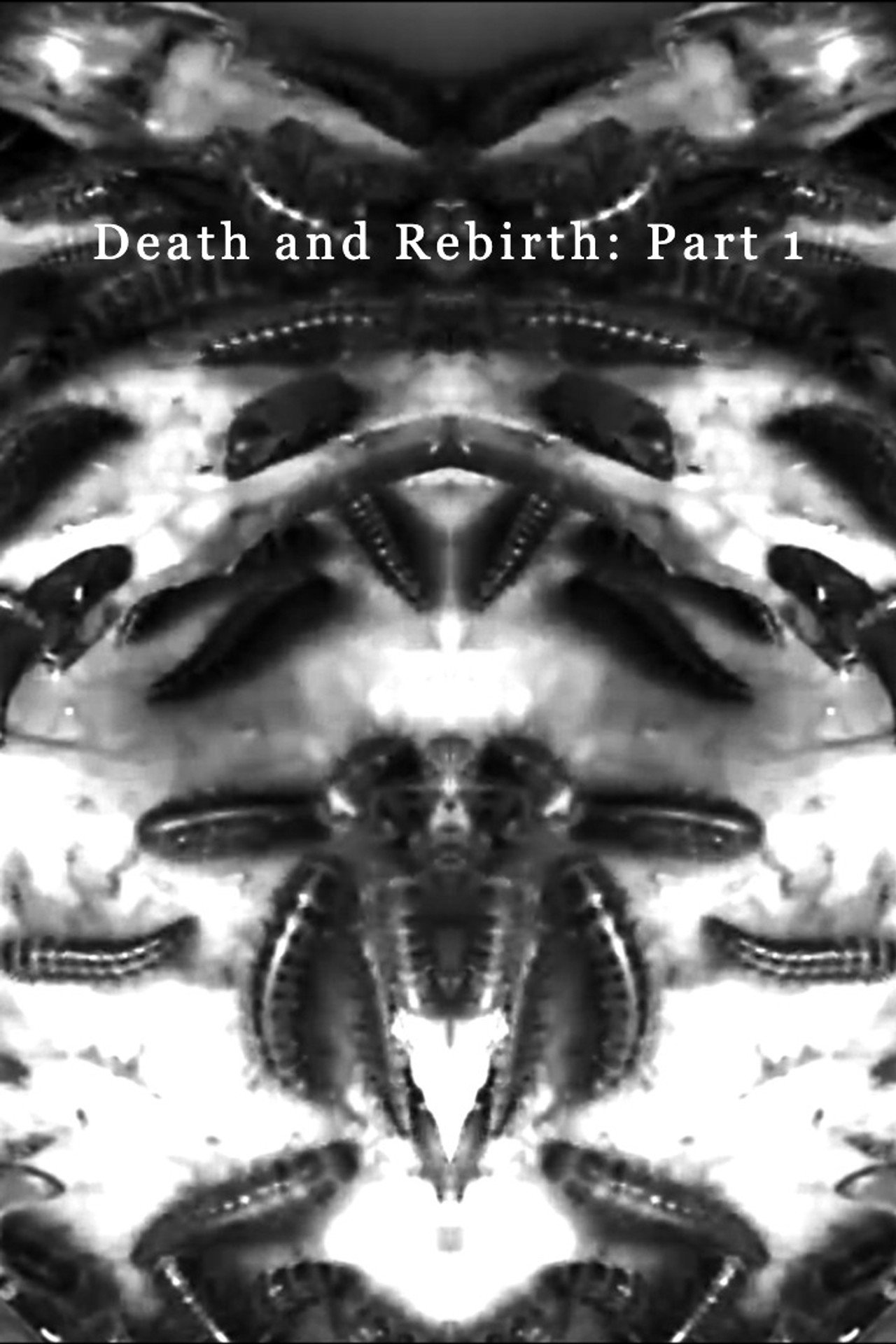 Death and Rebirth: Part 1