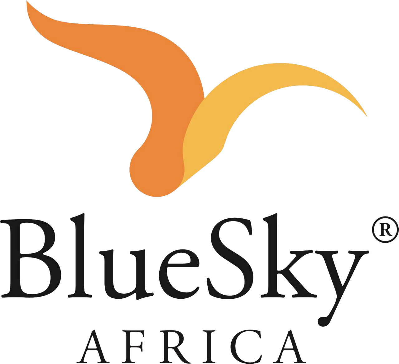 Blue Sky Africa