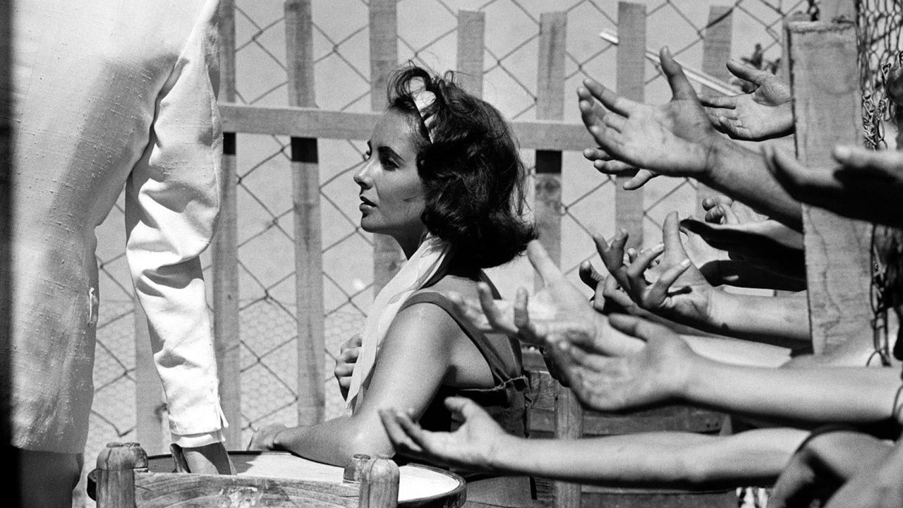 Suddenly, Last Summer Backdrop Image