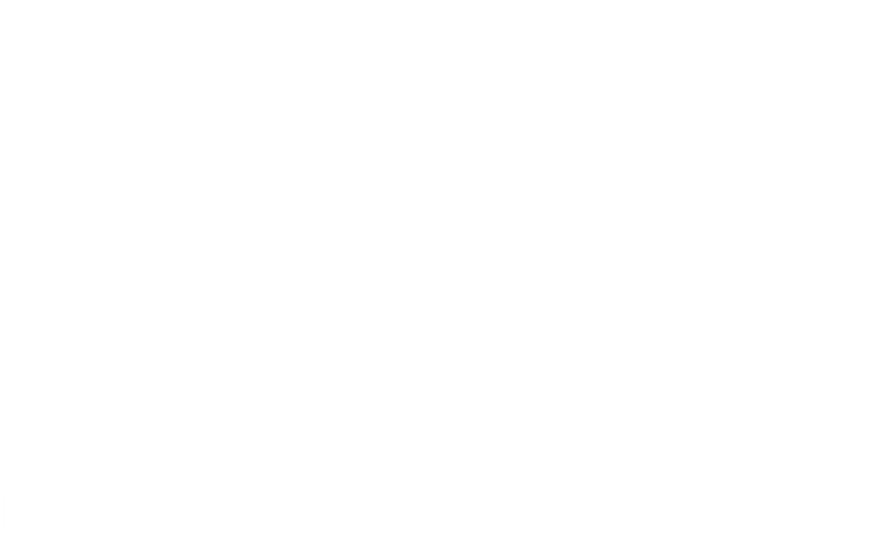 Física o química: La nueva generación
