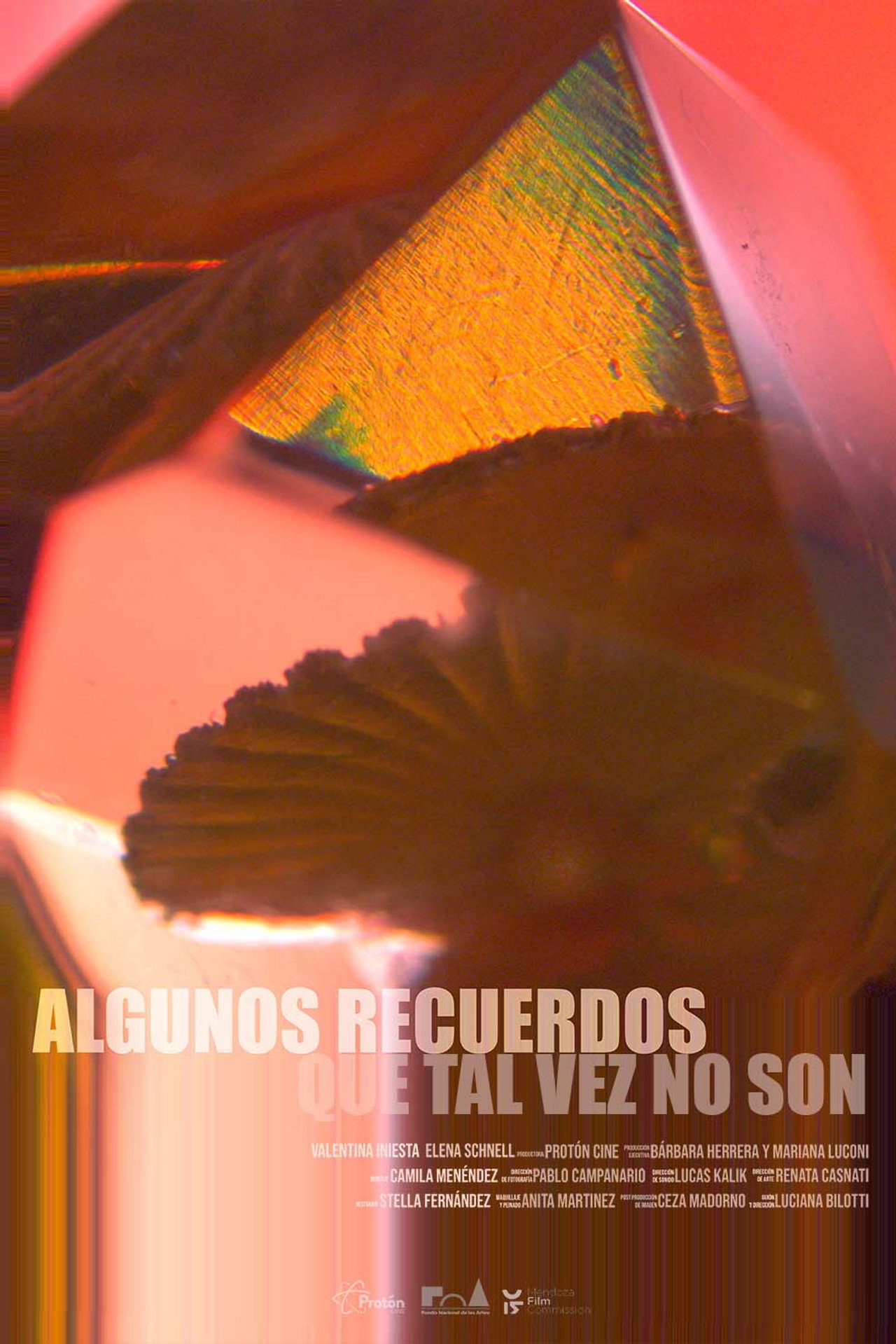 Algunos recuerdos que tal vez no son