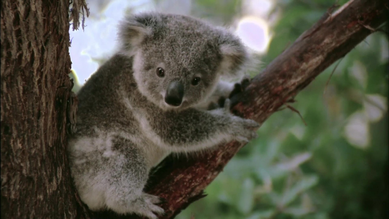 Wild Ones — Épisode 7