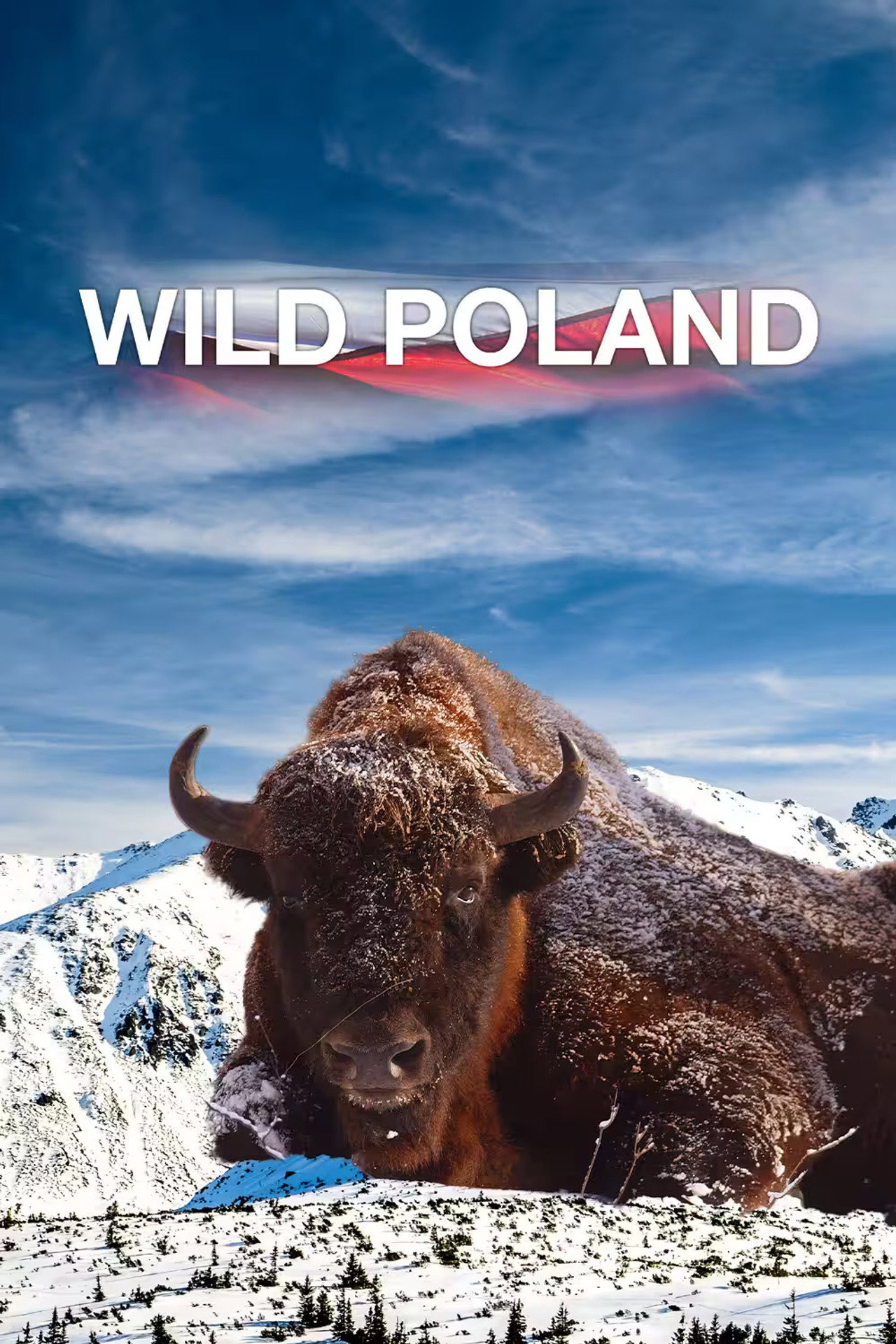 A vad Lengyelország – plakát 3