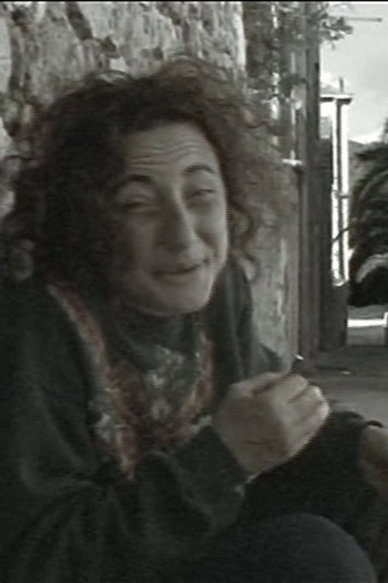 Tell Us the Truth Josephine: A Bitter Immigrant Story