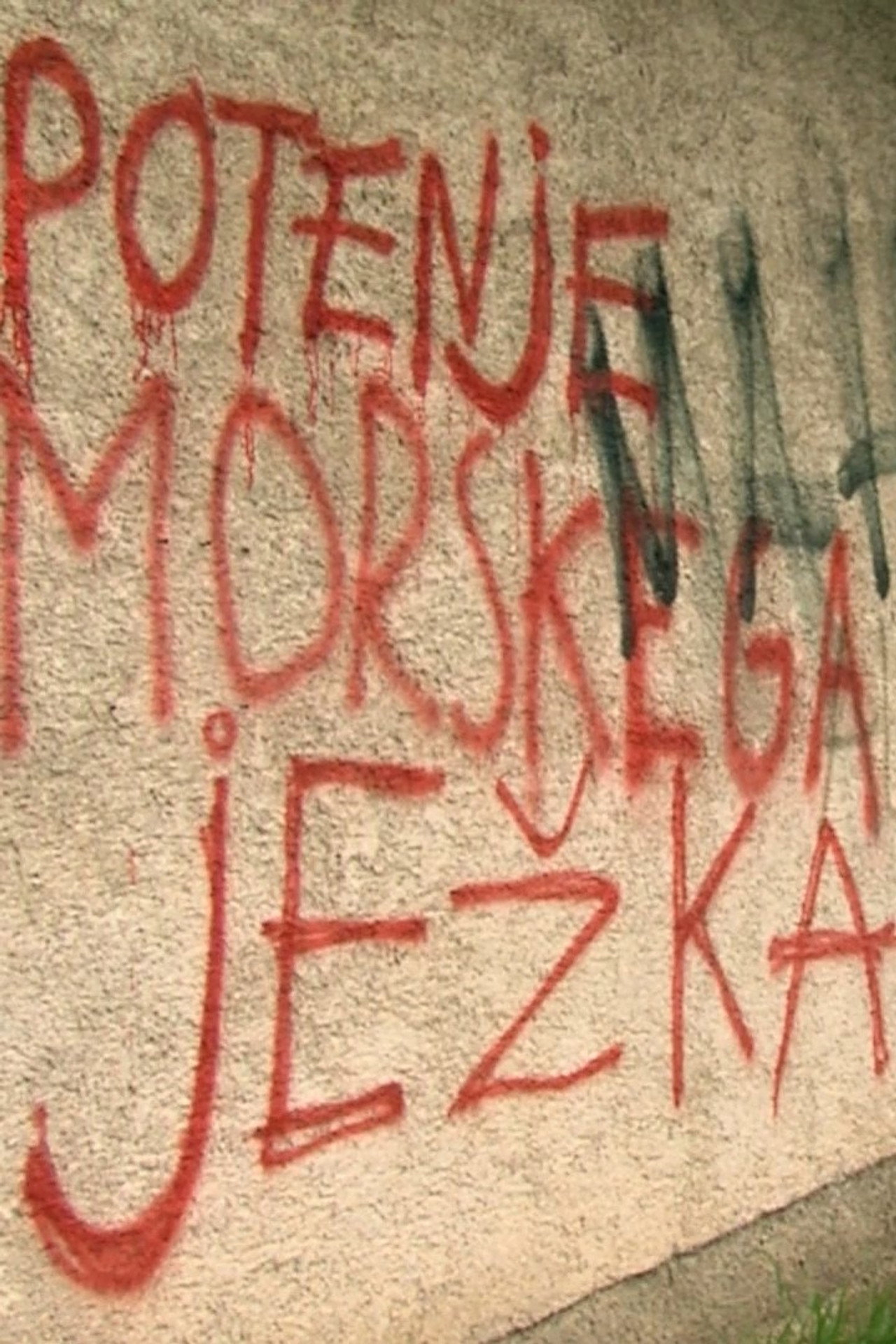 The Sweating of Sea Urchins Backdrop