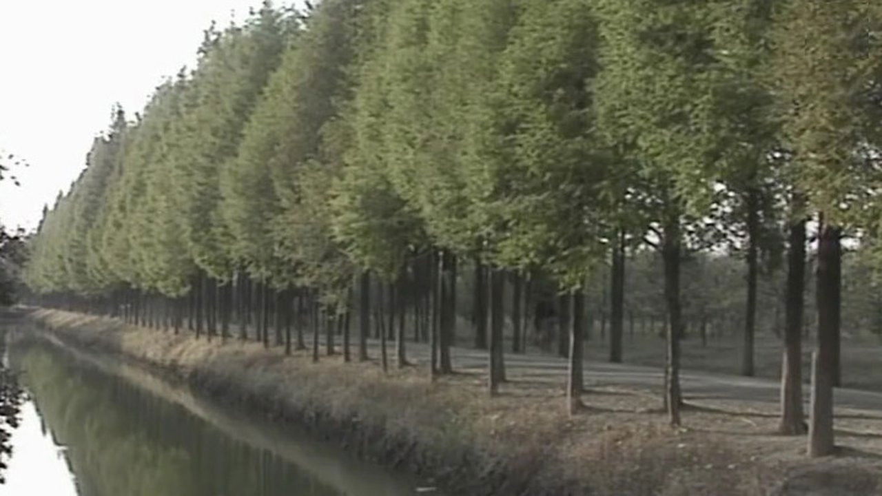 大江南北 — Épisode 7