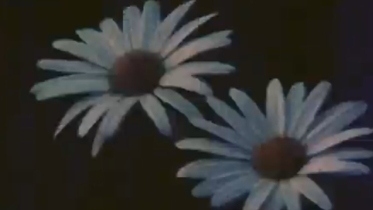 title image
