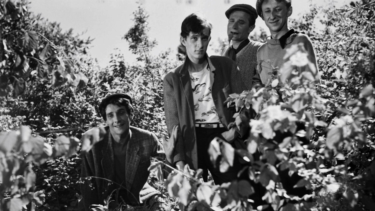 Обои к фильму «Восьмой день недели (1958)» — (23 из 27)