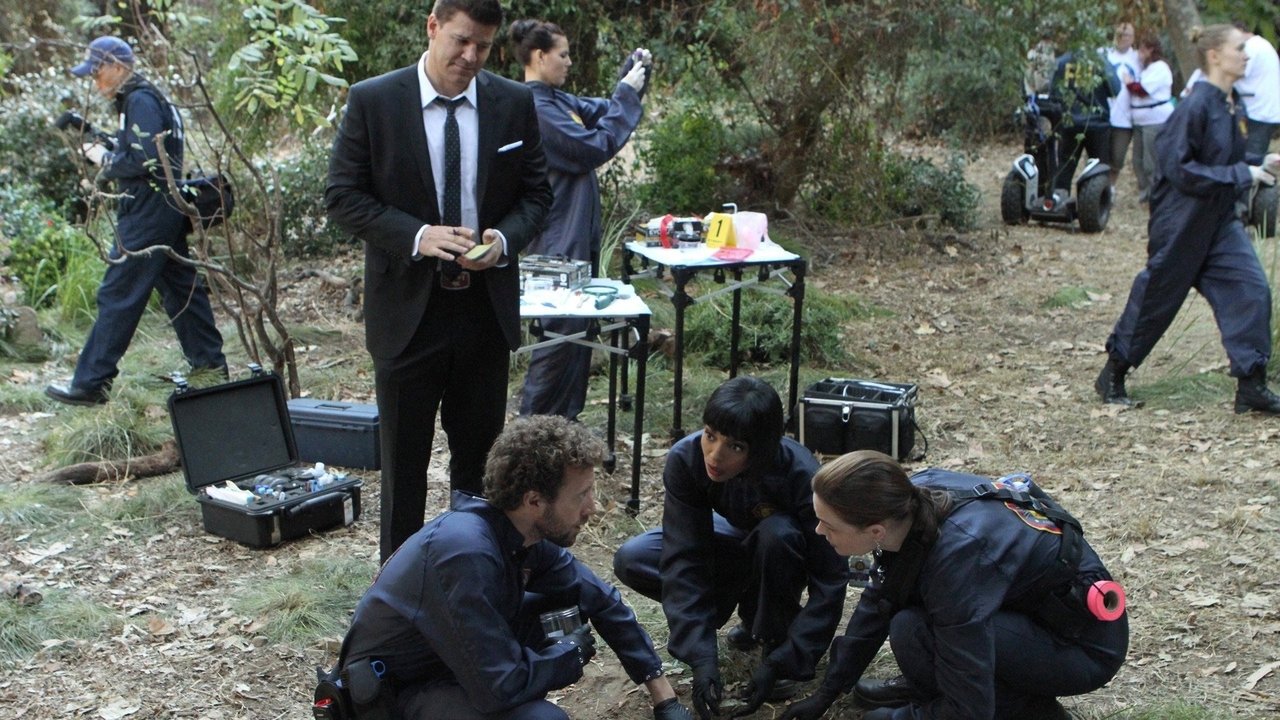 Bones - Season 8 Episode 13 : The Twist in the Plot