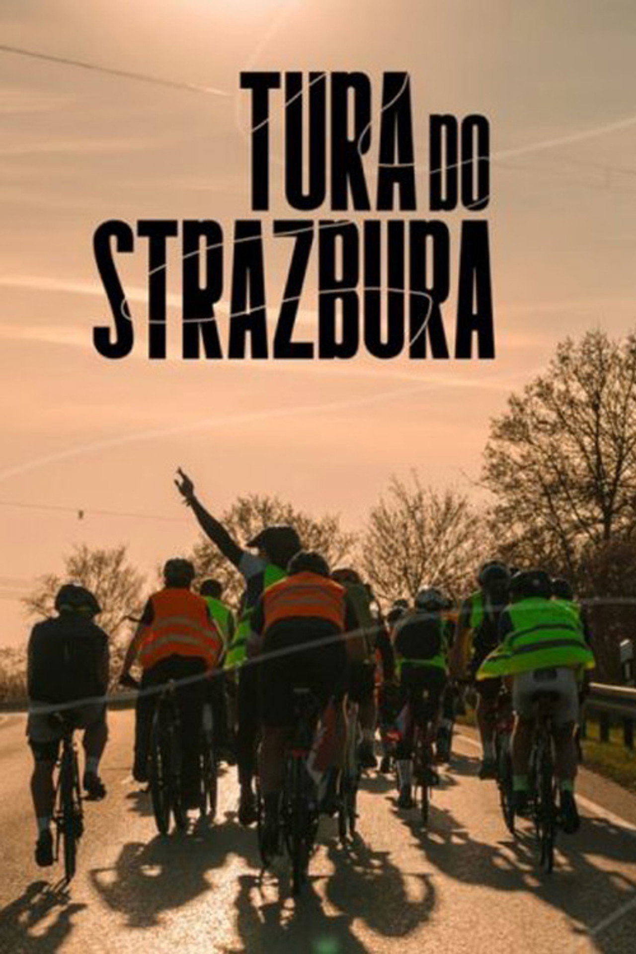 Tour to Strasbourg poster