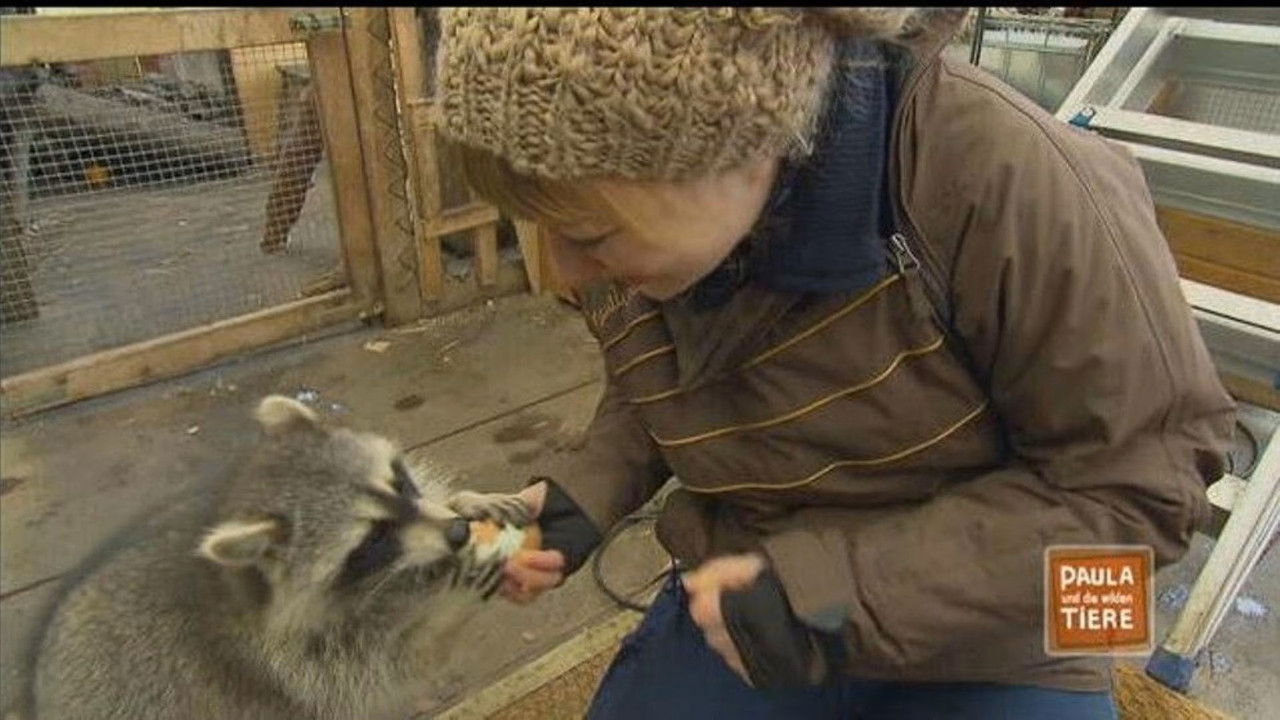 Paula und die wilden Tiere — Épisode 27