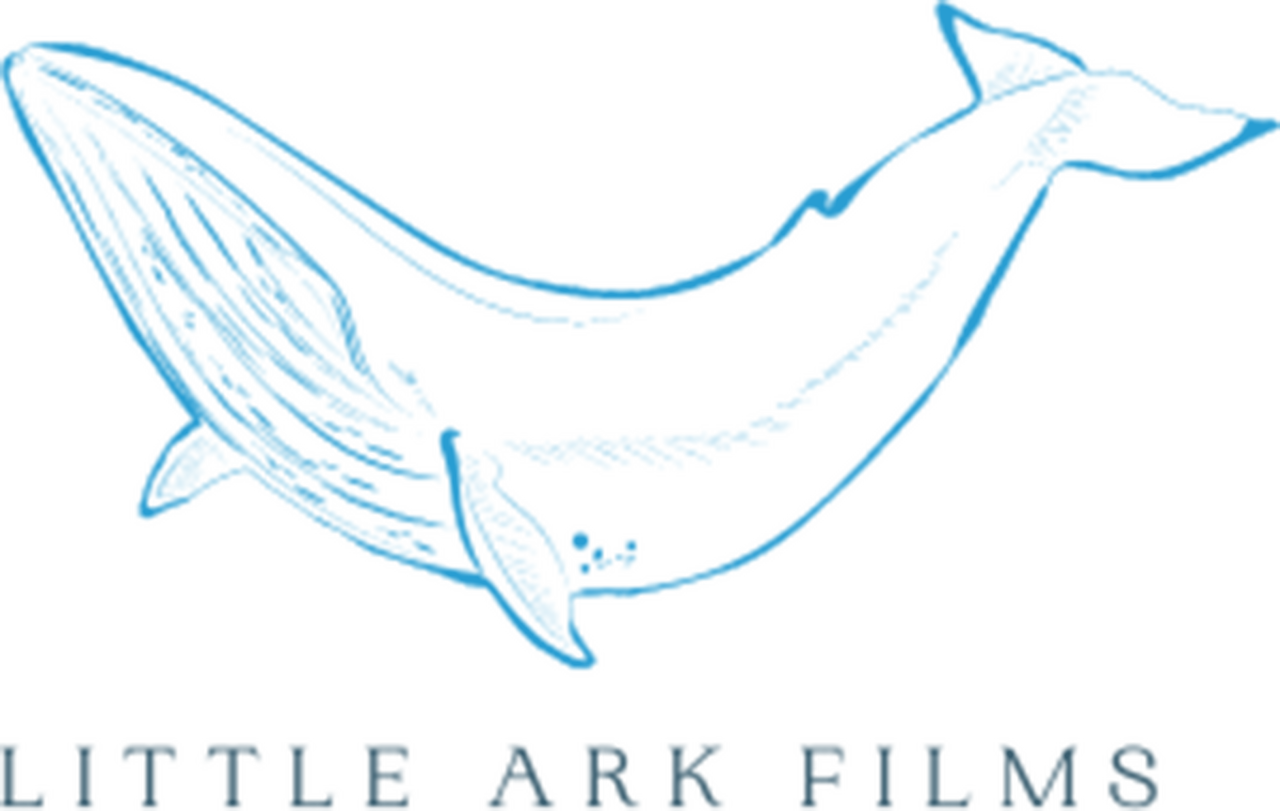 Little Ark Films