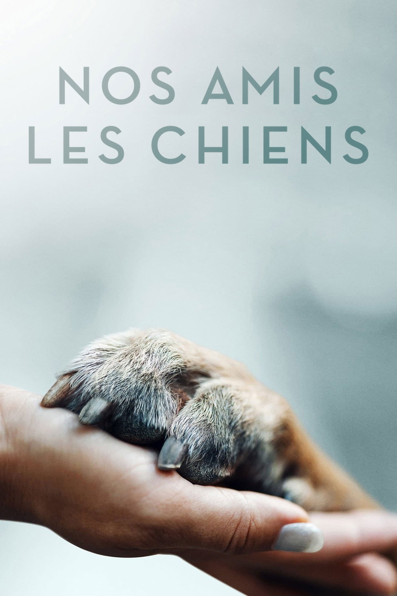 Nos amis les chiens poster