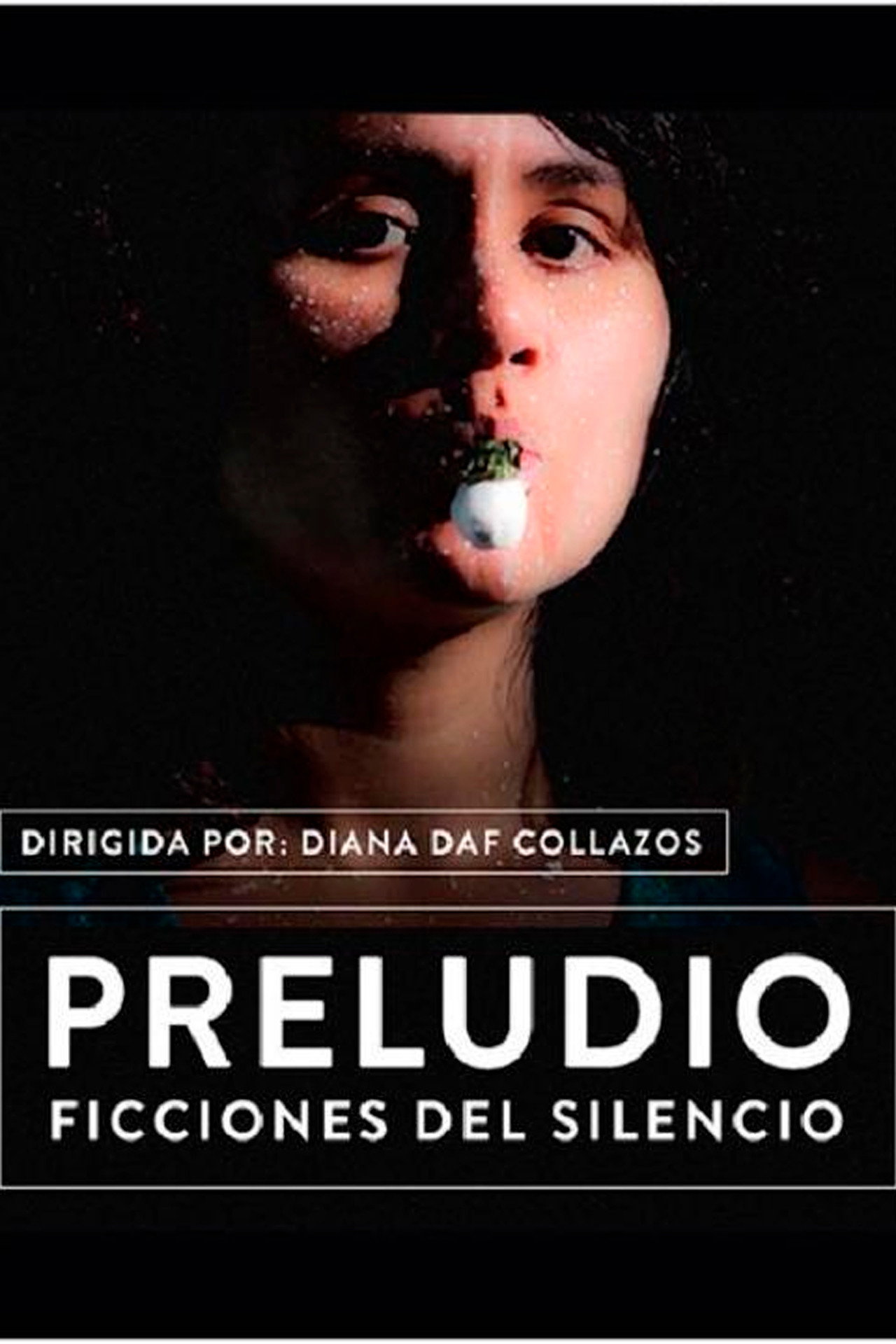 Preludio, ficciones del silencio