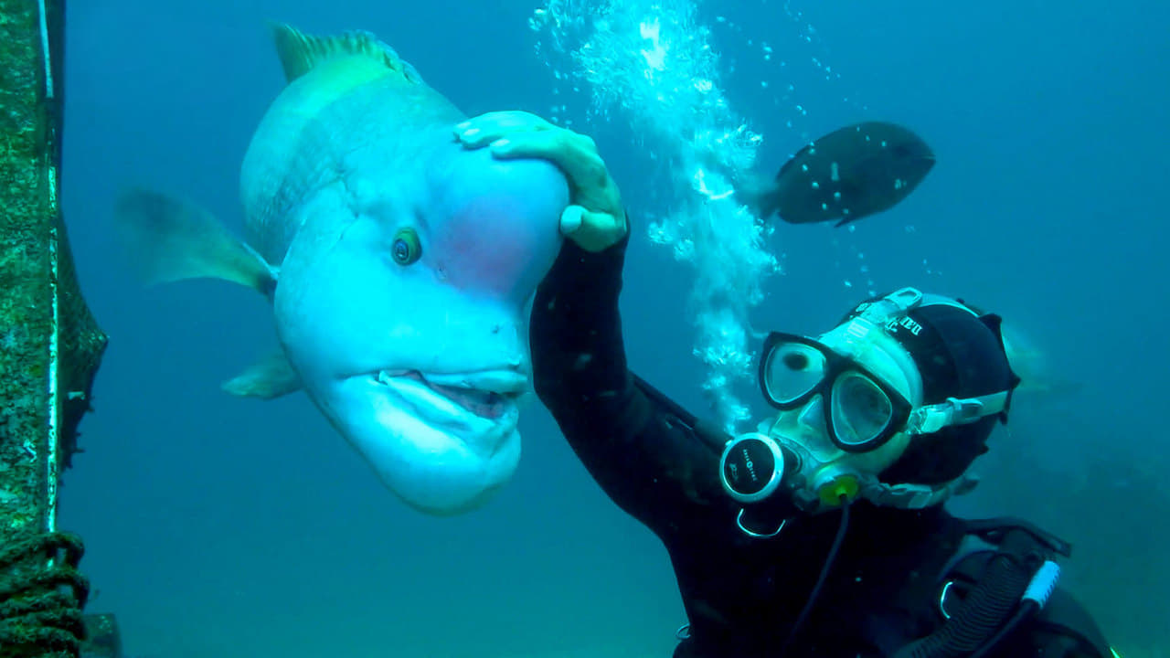 Journeys in Japan - Season 12 Episode 12 : Go Deep! Underwater Paradise