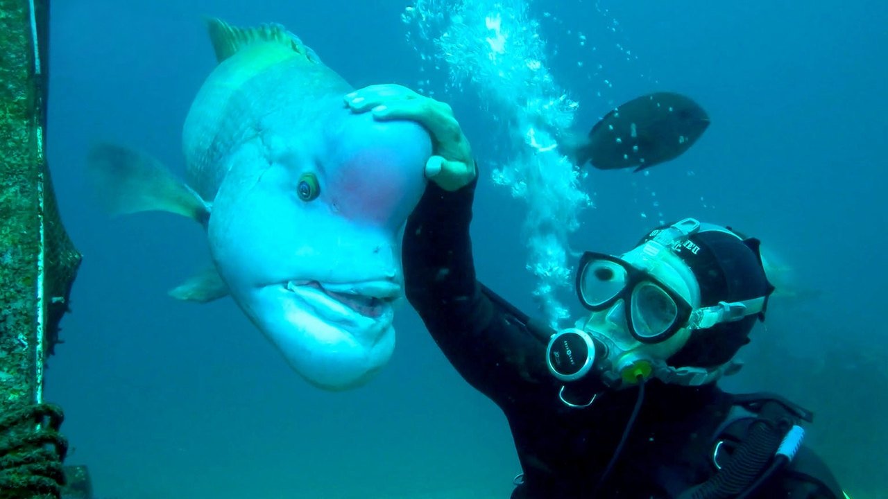 Go Deep! Underwater Paradise