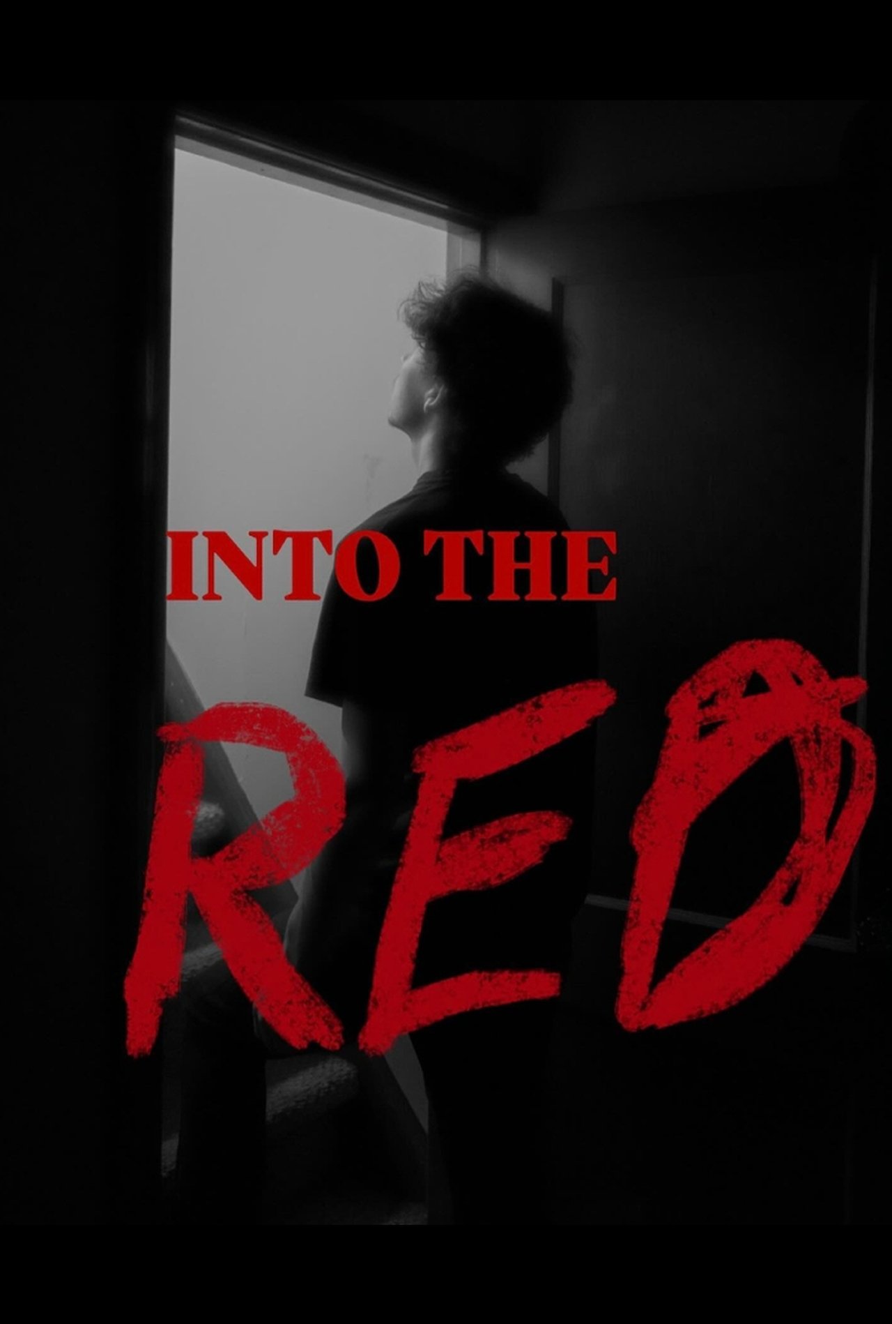 Into the Red Into the Red