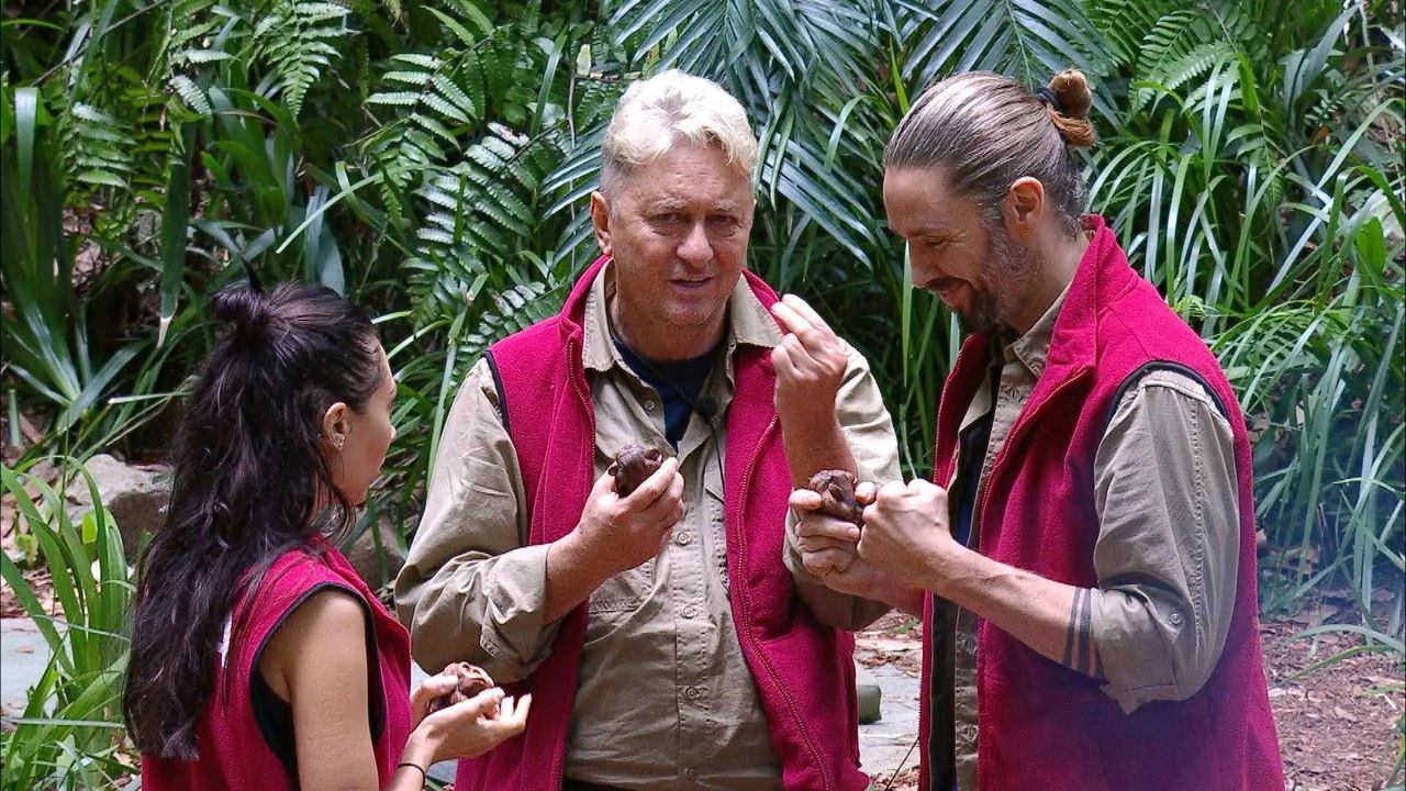 Ich bin ein Star – Holt mich hier raus! — Épisode 17